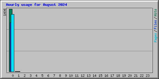 Hourly usage for August 2024