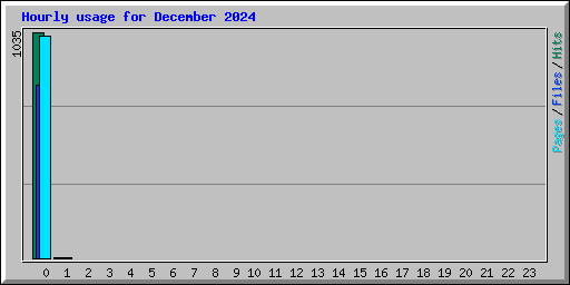 Hourly usage for December 2024