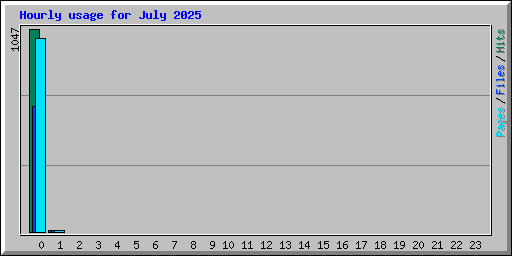 Hourly usage for July 2025