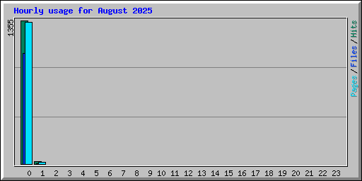 Hourly usage for August 2025